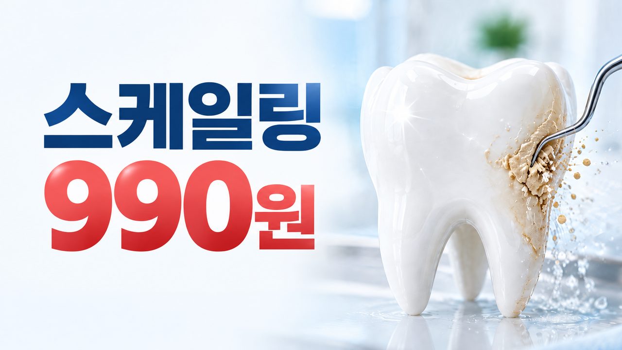 스케일링 990원
